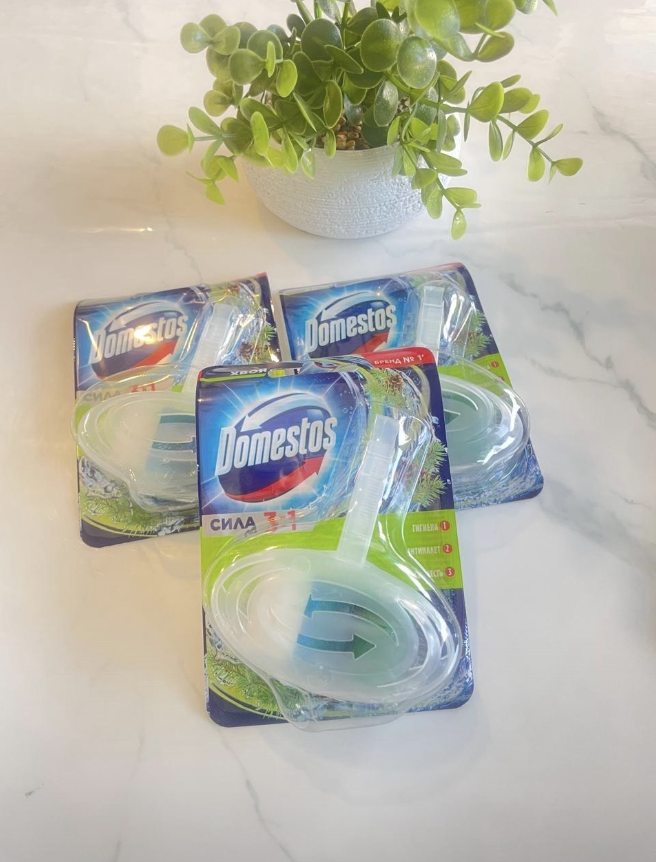 domestos اقراص للمرحاض