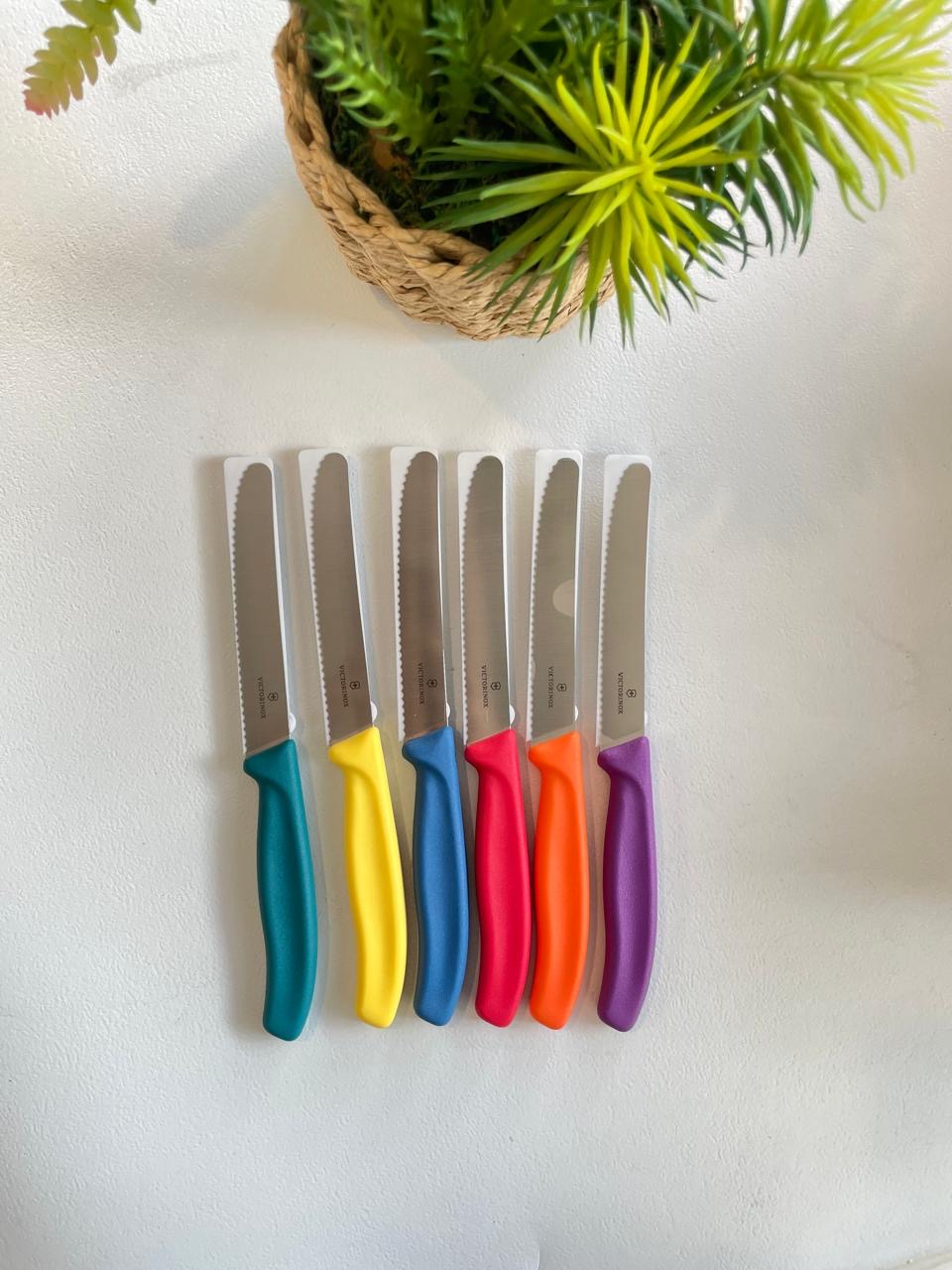 Victorinox table Knife 6pcs